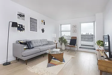 Rented by Bold New York