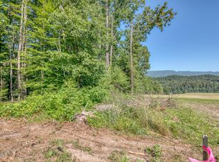 Tbd Sink Valley Rd, Butler, TN 37640