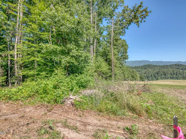 Tbd Sink Valley Rd, Butler, TN 37640