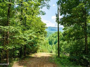 1674 Dripping Springs Rd, Seymour, TN 37865