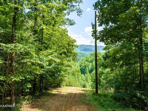 1674 Dripping Springs Rd, Seymour, TN 37865