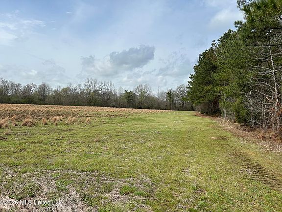 5th image of Robinson Thompson Rd