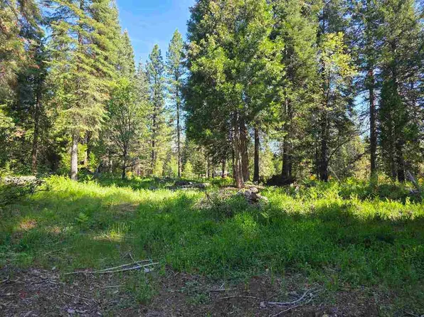 LOT 72 Old Mill Dr, McCloud, CA 96057