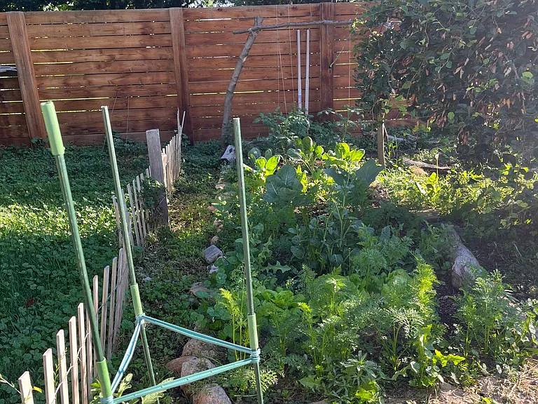 garden summer 2023