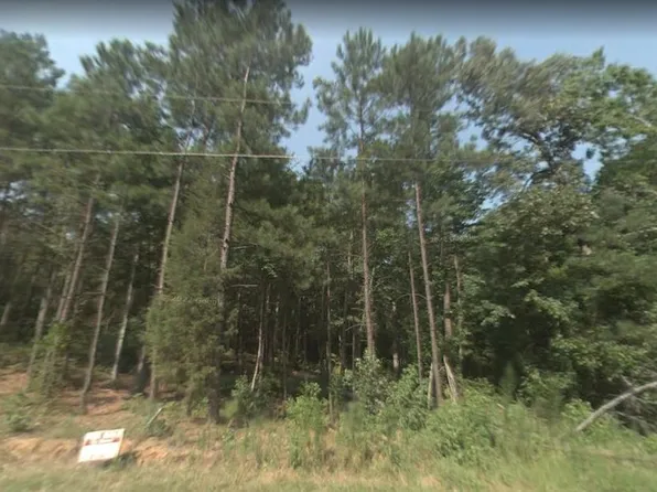 1101 Santa Fe Ct, Greensboro, GA 30642