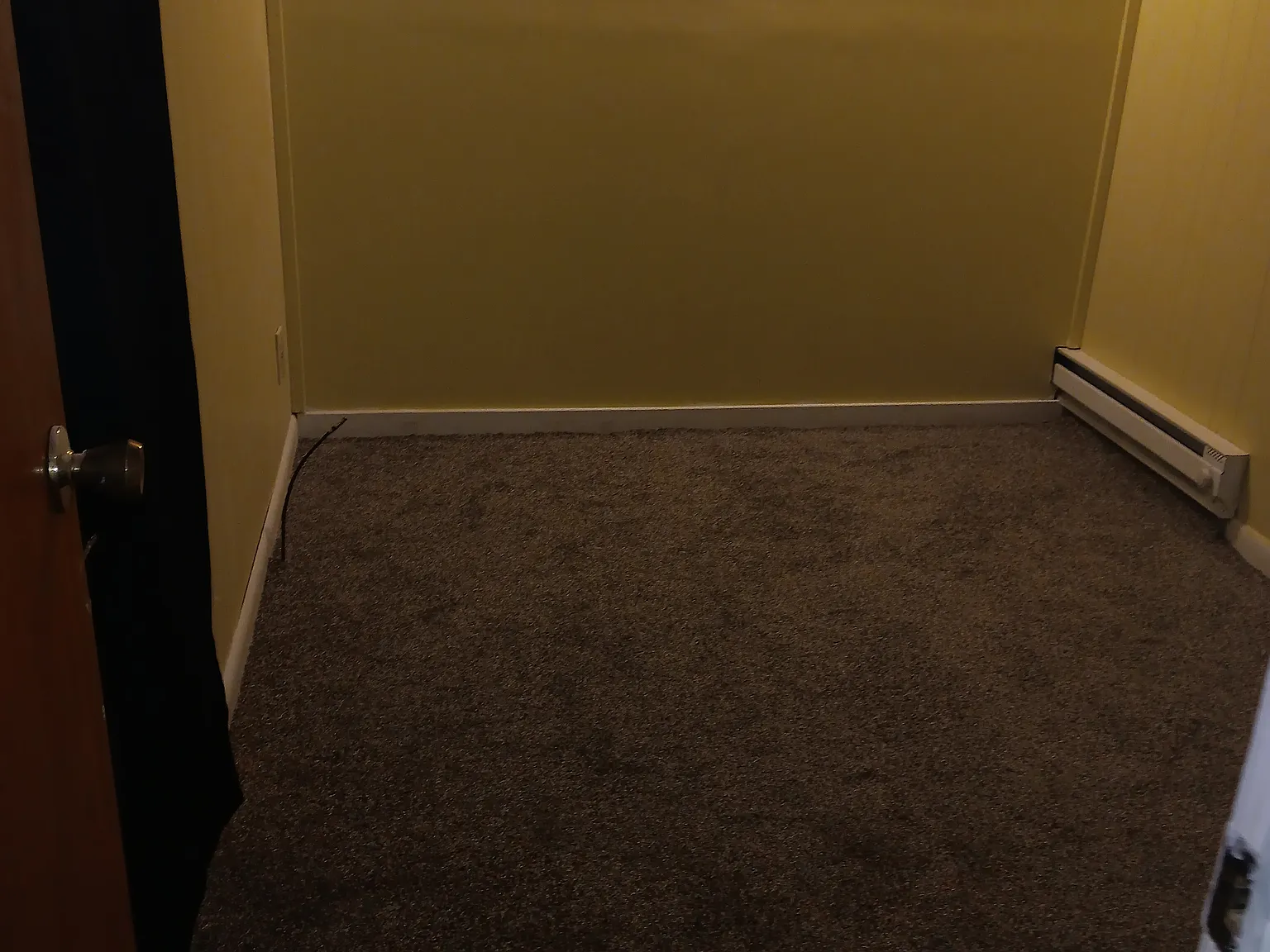 3 bed, $1,500 — Photo 1