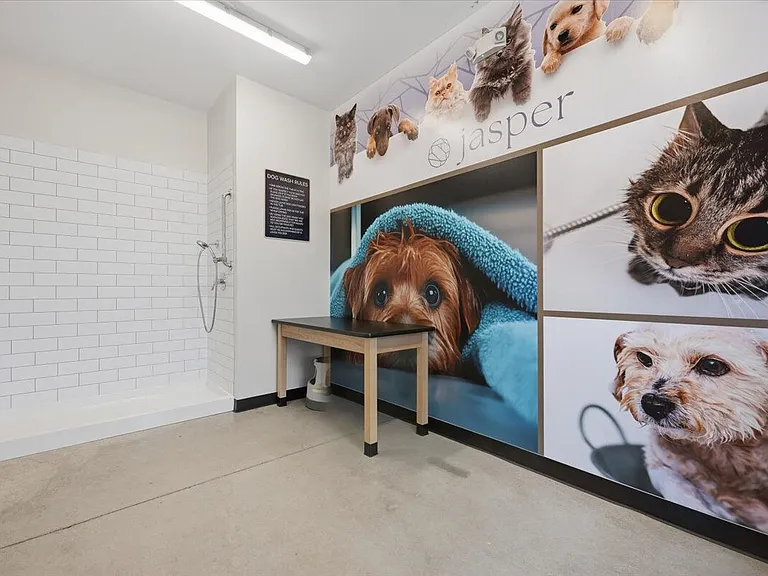 Jasper — Photo 29