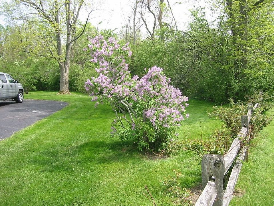 side yard