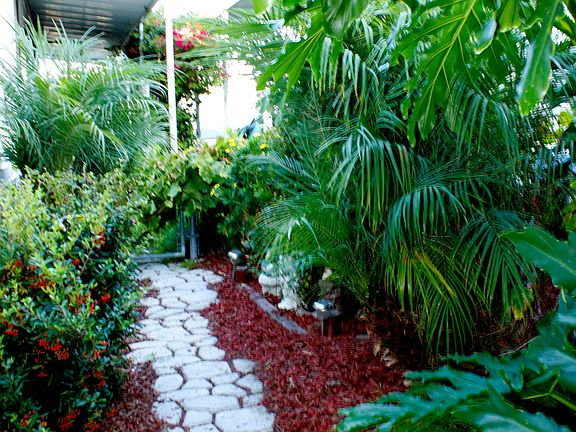 Side Yard
