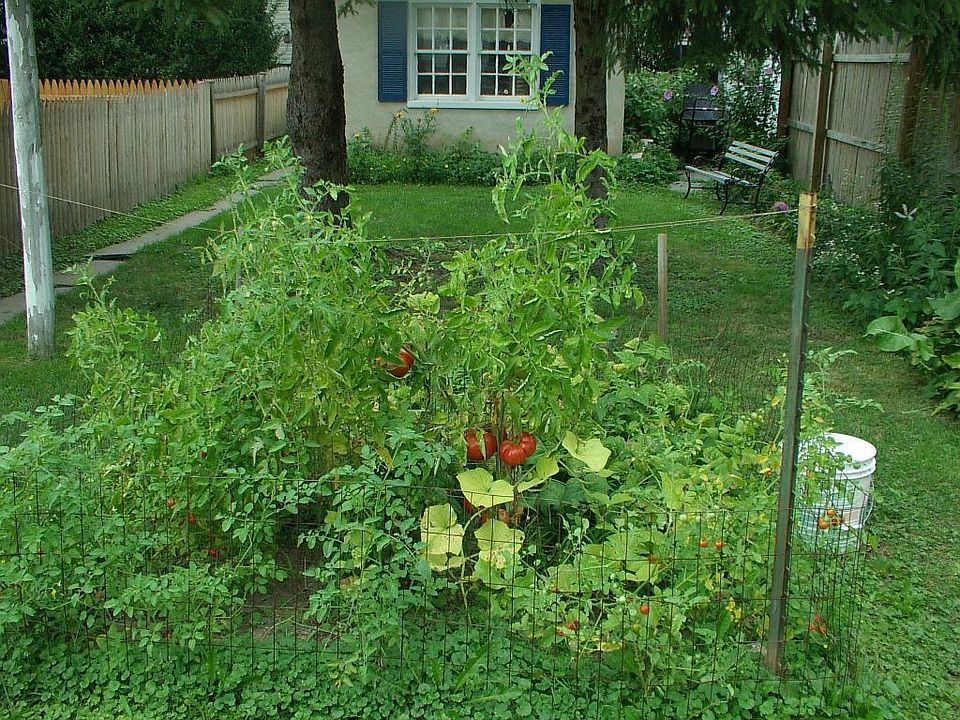 2nd image of 325 Juniper St