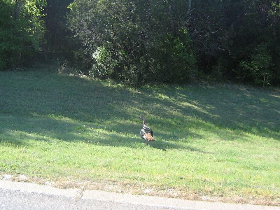 1st image of 12112 Oak Dale Dr Lot 112