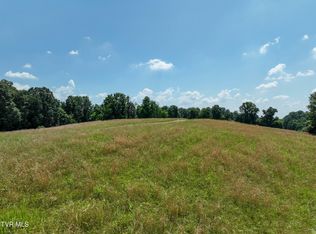 LOT 1 Devault Bridge Rd, Piney Flats, TN 37686