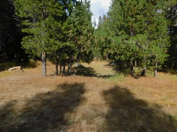 231 Quaking Aspen Rd, Bear Valley, CA 95223