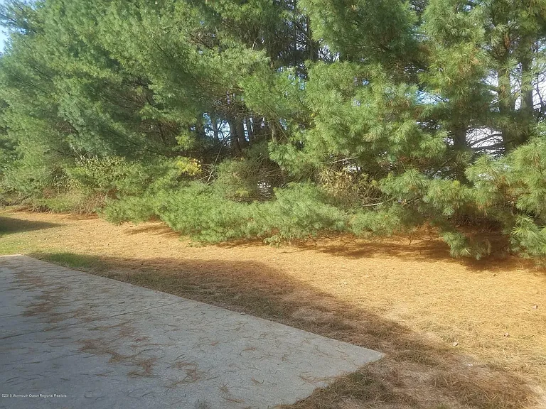 229 Torrey Pines Dr — Photo 10