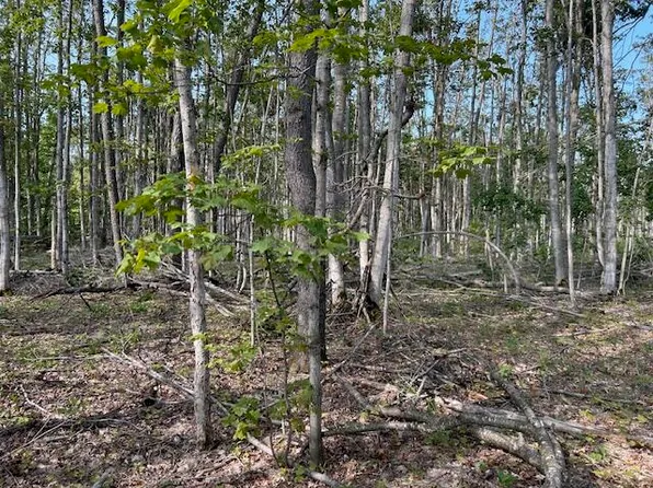 V/l 206ac Estelle Rd, Gaylord, MI 49735