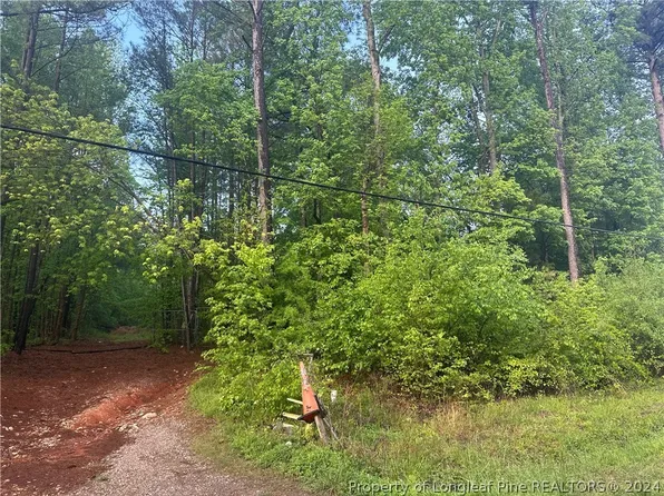 Cox Maddox Rd, Sanford, NC 27332