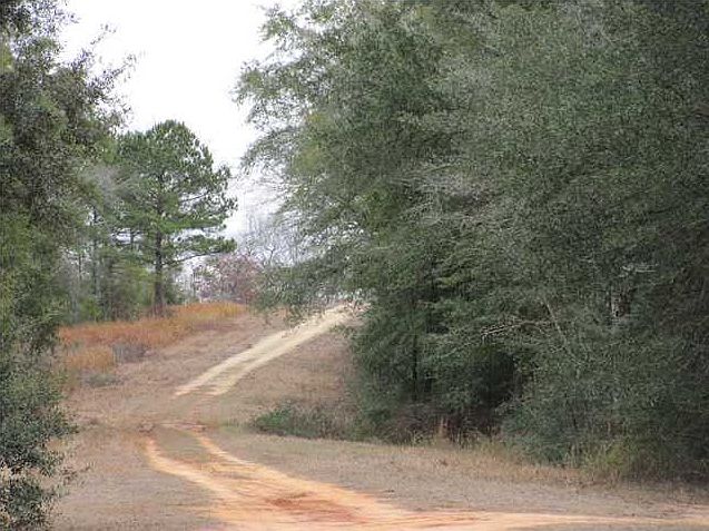 2nd image of Padgett Rd