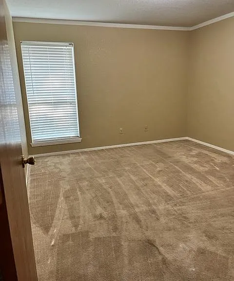 2410 Windy Pine Ln — Photo 10