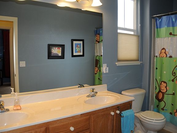 4th image of 2614 Roseto Cir