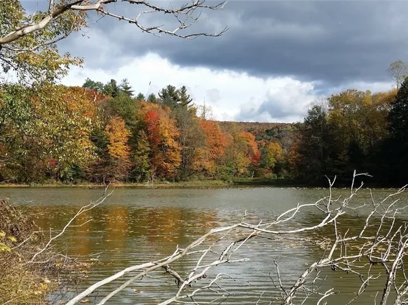 1720 County Route 12, De Ruyter, NY 13052