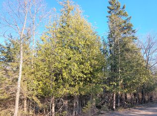 3724 Owens Rd, Cheboygan, MI 49721