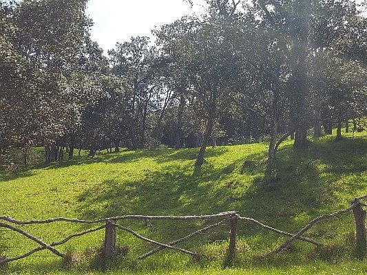3rd image of Koholalele Road D Lot 19C-1