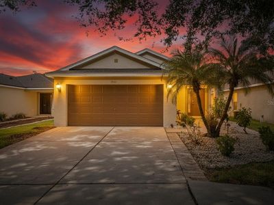 11550 Crestlake Village Dr, Riverview, FL, 33569