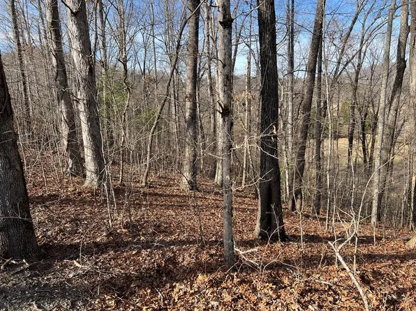 LOT-77A Licklog Rdg, Hayesville, NC 28904