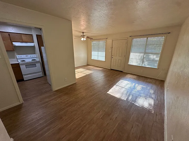 1115 N Austin St — Photo 19