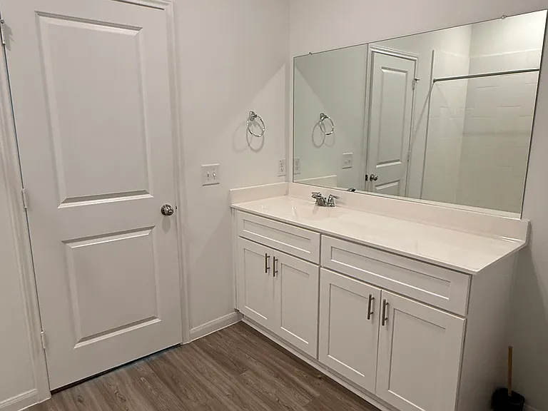26334 Cedar Sedge Dr — Photo 19
