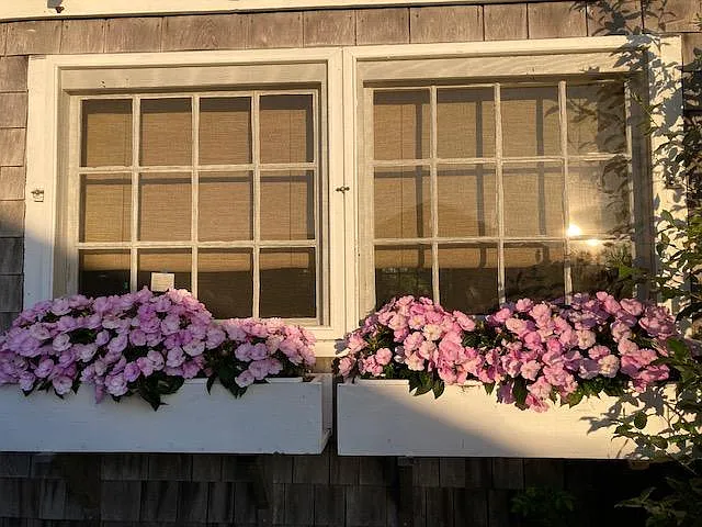 8 Village Way — Photo 39