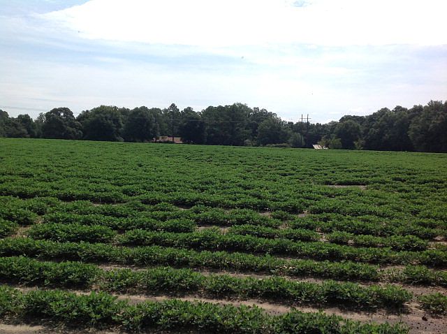 1st image of 126 Acre Cres #5