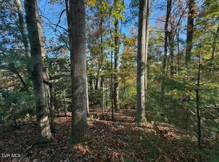 Waters Rd, Laurel Bloomery, TN 37680