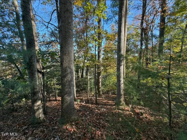 Waters Rd, Laurel Bloomery, TN 37680