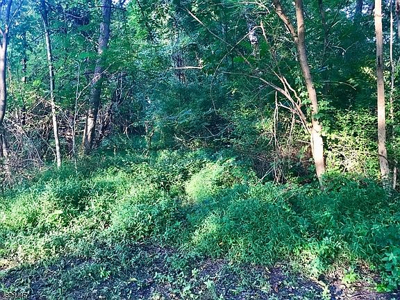 4th image of 2 Hilltop Ln