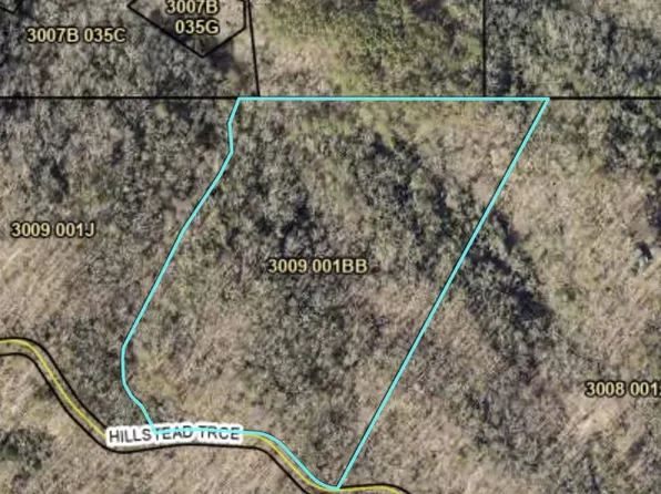 29A Hillstead Trce, Ellijay, GA 30540