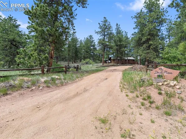 117 Pine Forest Rd, Lake George, CO 80827