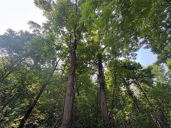 2nd image of 0 Township Rd #369