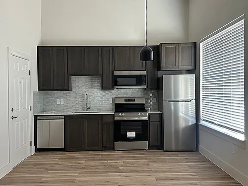 1414 N Locust St #2301 Photo 1