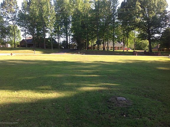 5th image of 2070 Tall Tree Dr