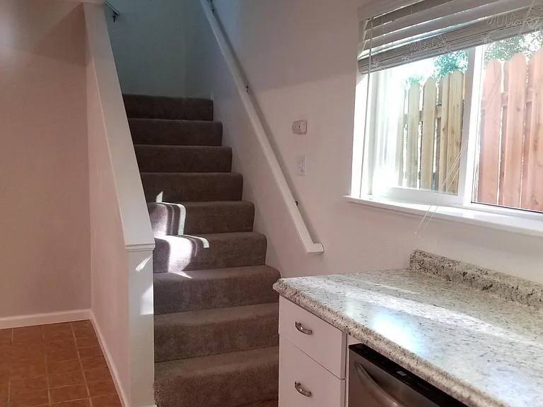 7565 Bodega Ave #4 — Photo 10
