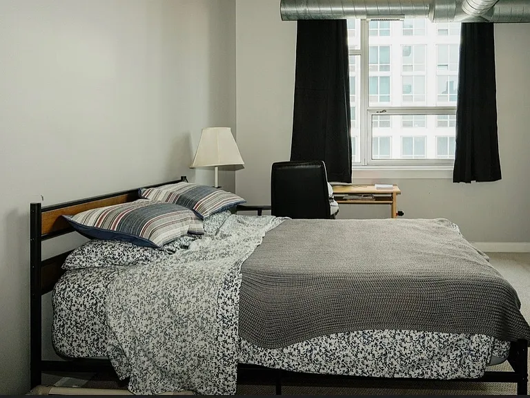 1305 S Michigan Ave #1308 — Photo 6