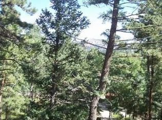 296 S Random Rd, Bailey, CO 80421