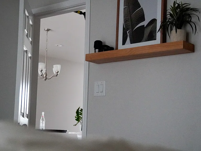 2337 Soothing St — Photo 9