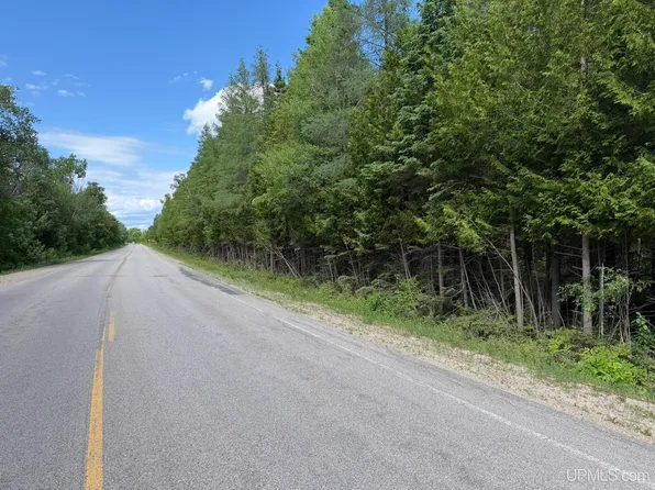 PARCEL H 33 #D, Gould City, MI 49838