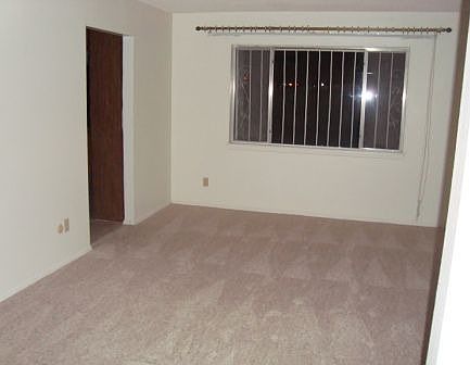 4th image of 313 Vaudeville Dr