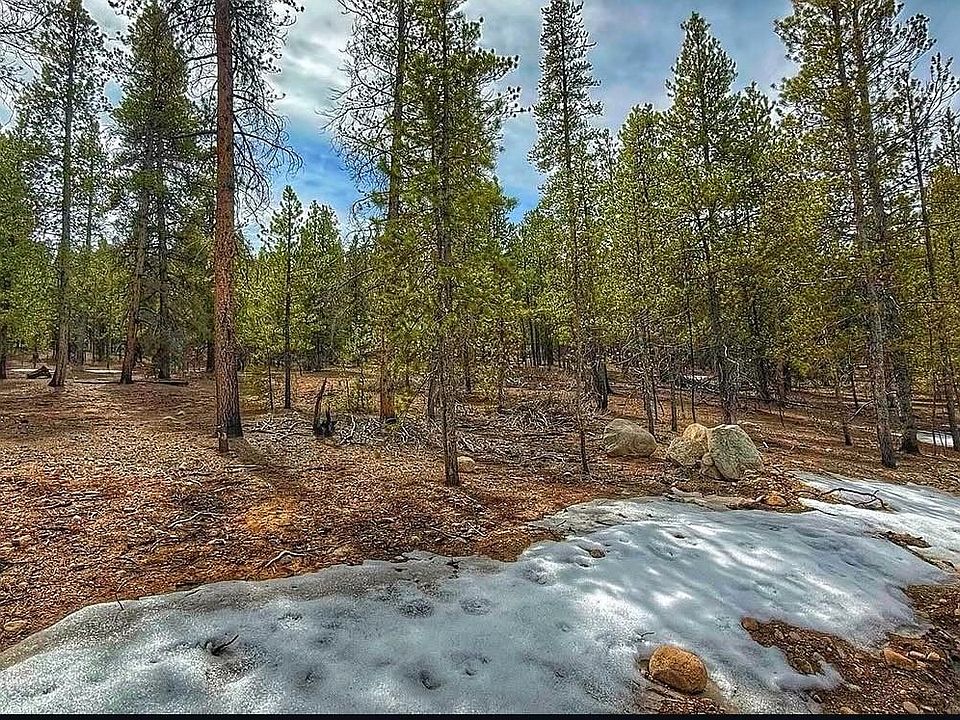 1st image of 48 Mount Massive Road