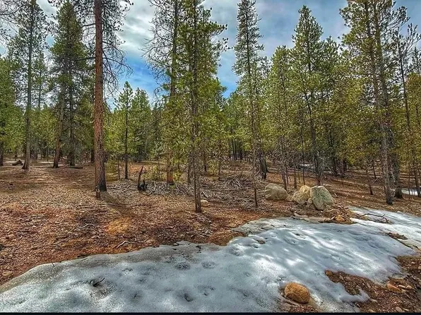 48 Mount Massive Road, Twin Lakes, CO 81251