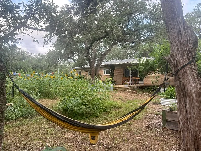 A quiet nap under the large shade trees.