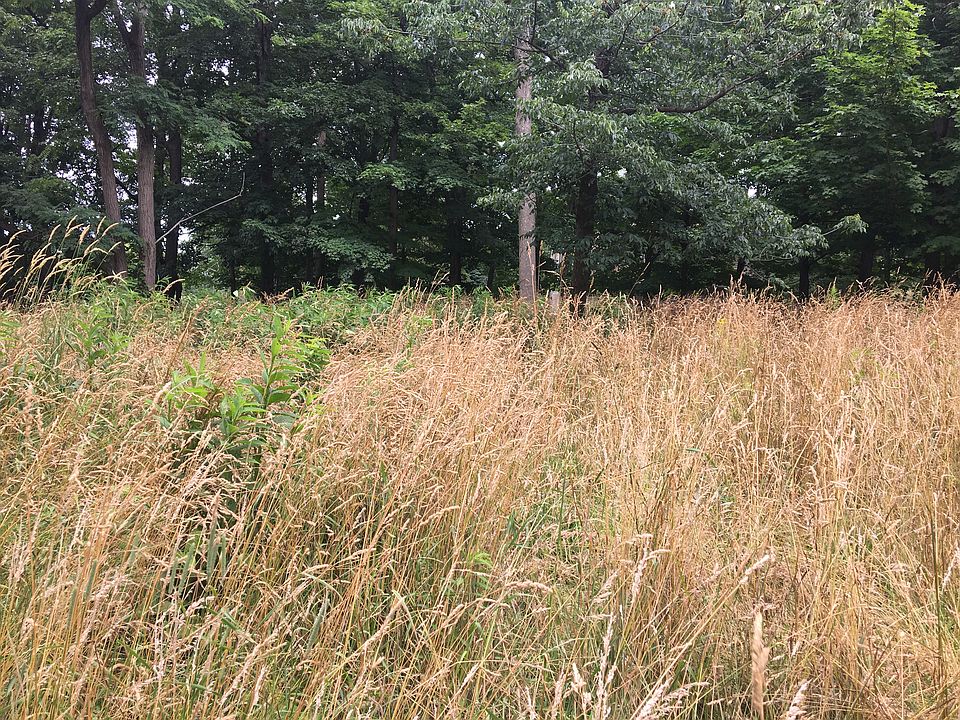 2nd image of Johnnycake Ridge Rd Vacant Land 3.25 Ac